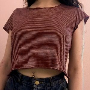 Red and White Striped Crop Top